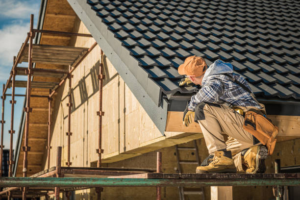 Best Roof Installation  in Palmyra, WI