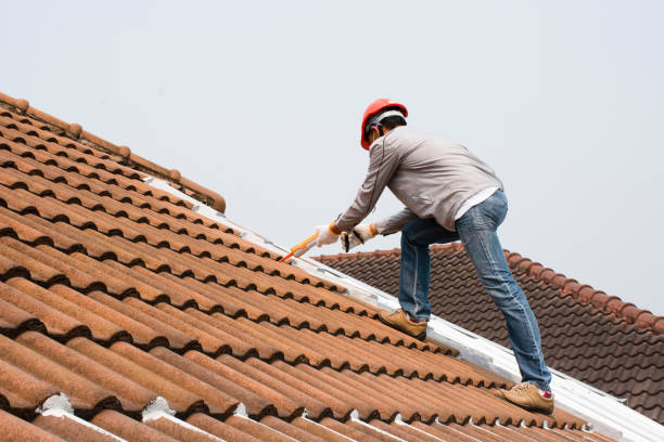Best Roof Insulation Installation  in Palmyra, WI
