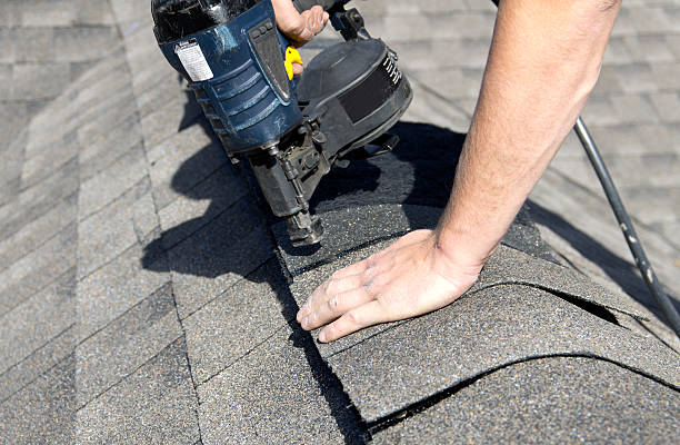 Best Wood Shake Roofing  in Palmyra, WI