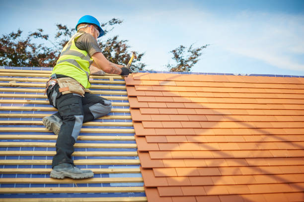 Best Roof Moss and Algae Removal  in Palmyra, WI